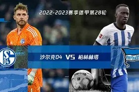 沙尔克遭遇连败，降级形势日益严峻()