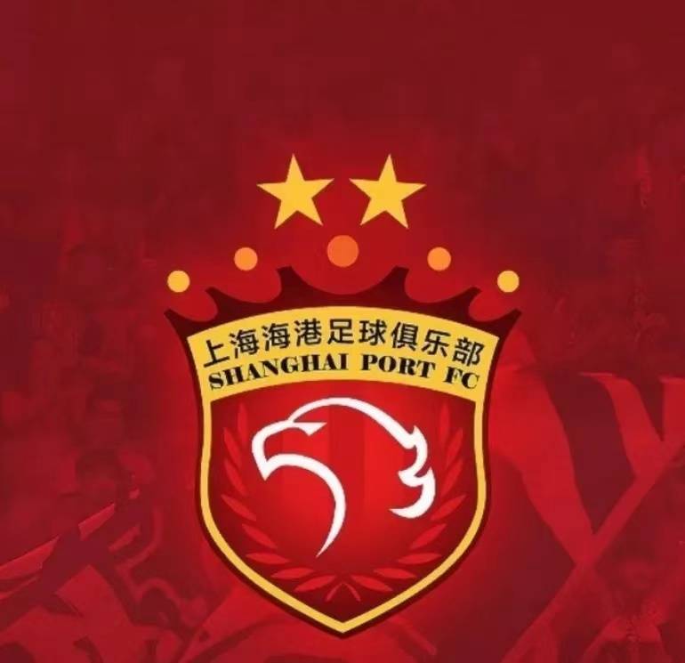 开云sports-上海上港队挑战北京中赫队，双方实力对比的简单介绍  第2张