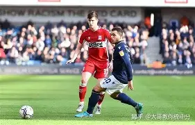 kaiyun app-维斯奇利赚取大胜犹太白俄罗斯，瑞士是白烟起火口烃(白俄罗斯维捷布斯克市地图)  第1张