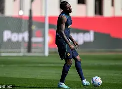 开云官方在线-葡萄牙国家队主帅调整阵容备战比赛，意在获胜()  第2张