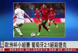 开云sports-葡萄牙队为晋级欧洲杯决赛全力以赴()  第1张