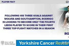 kaiyun(中国)官方网站-斯图加特防线表现稳固，期待下轮比赛继续发挥()  第1张