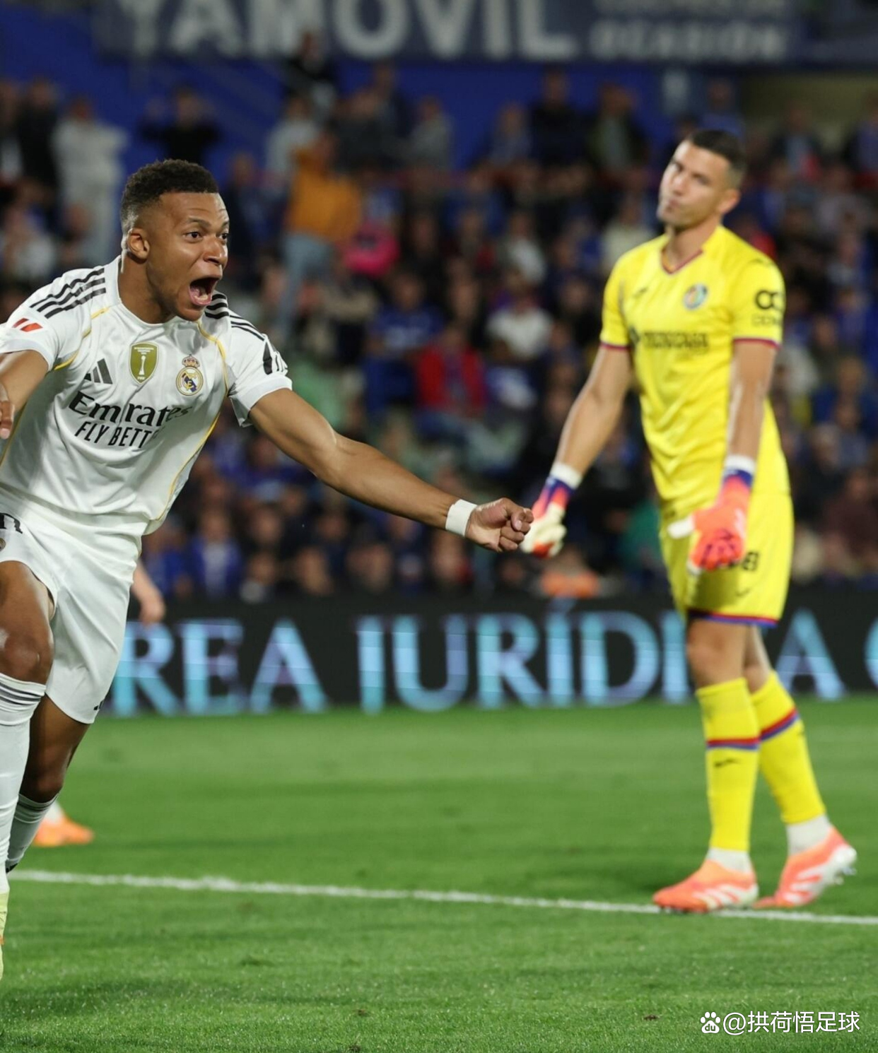 开云-替补球员绝杀，帮助球队取得胜利()  第1张