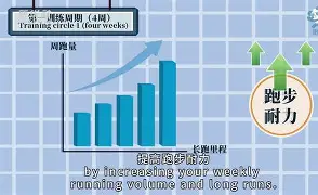 开云sports-波鸿主场失利，全队反思，全力备战下一场(波鸿最新消息)  第1张